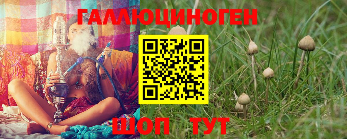 Галлюциногенные грибы ЛСД  Галлюциногенные грибы Psilocybine cubensis  Кулебаки  Вход с VPN 