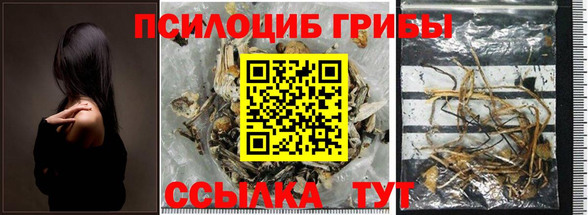 Галлюциногенные грибы MAGIC MUSHROOMS Кулебаки